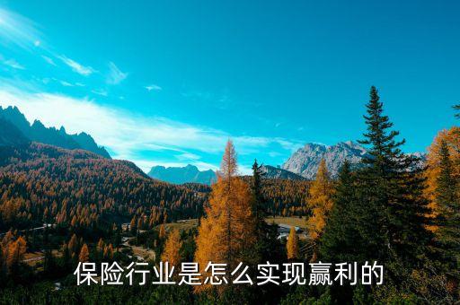 保險(xiǎn)為什么贏利，保險(xiǎn)公司是怎樣贏利的...